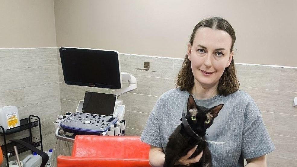 «Я прошу вашей помощи»: создательницу пермского приюта «Муркот» ждет операция, за два месяца необходимо пристроить 40 котов