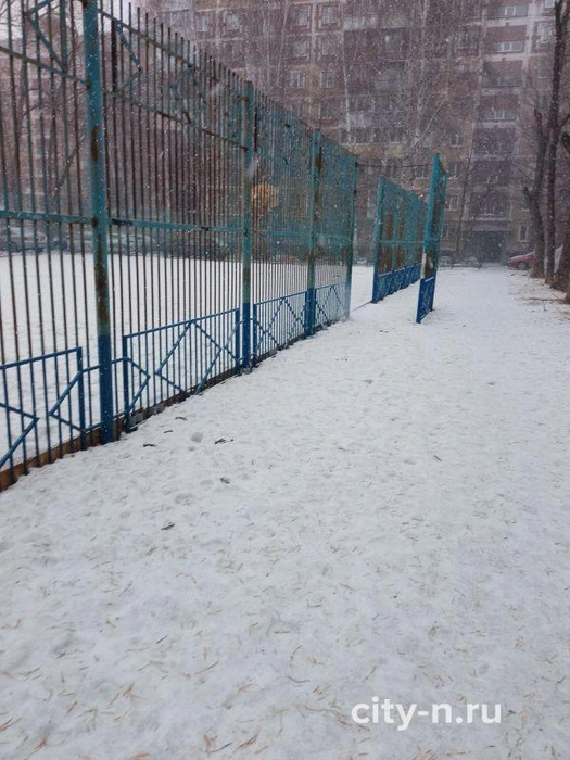 Новокузнечанка отправит фото собачьих экскрементов в Госдуму | Источник: www.city-n.ru