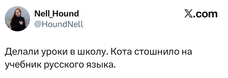Источник: X (Twitter)