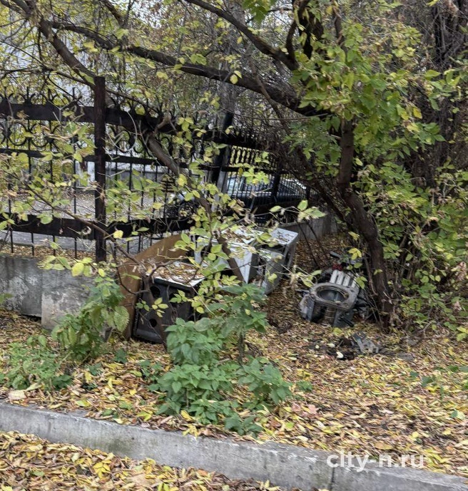 Источник: www.city-n.ru