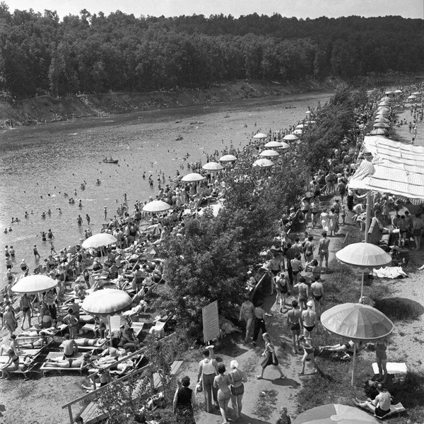 Пляж в районе Кунцево, начало 1960-х | Источник: Кошельков Игорь Григорьевич via Pastvu