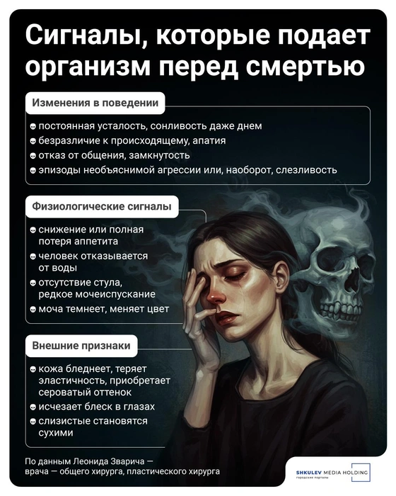 Источник: Полина Авдошина / Городские медиа