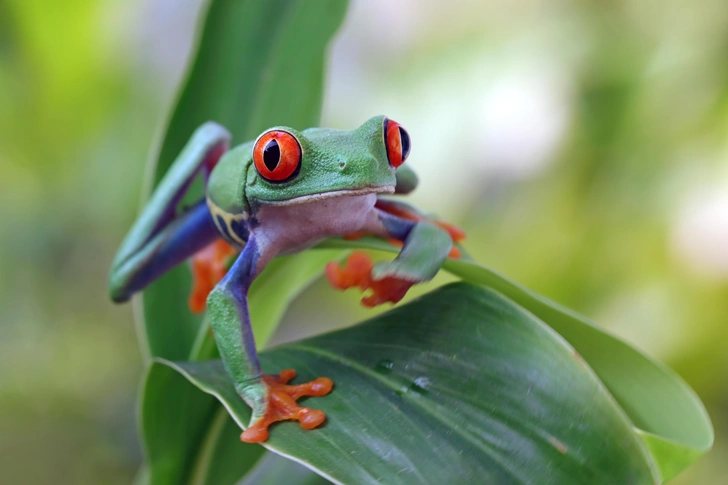 Источник: Shutterstock/Fotodom.ru