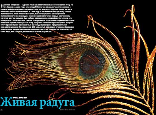 Фото №1 - Живая радуга
