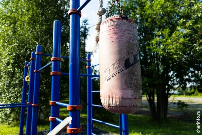Источник: st.cherinfo.ru