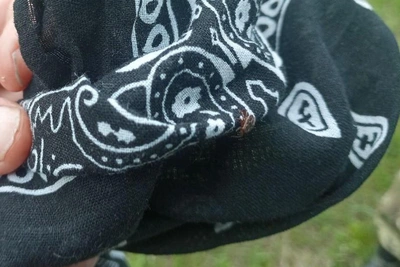 Чем опасны репелленты и обработанная от клещей трава