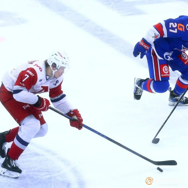 Источник: Дарья Драй/«Фонтанка.ру»