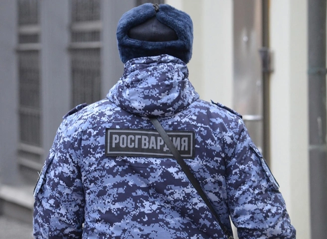 В Рязани росгвардейцы задержали мужчину, повредившего три машины | ya62.ru