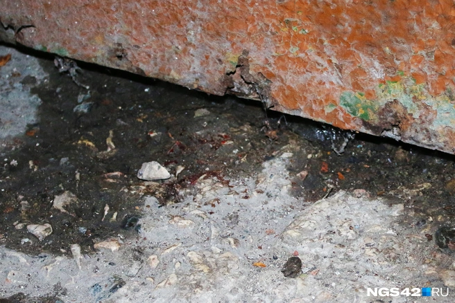 Хотя подъезд помыли, в нем по-прежнему остаются следы крови | Источник: Игорь Епифанцев / NGS42.RU