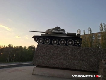 Источник: Алёна Воропаева / Voronezh1.ru