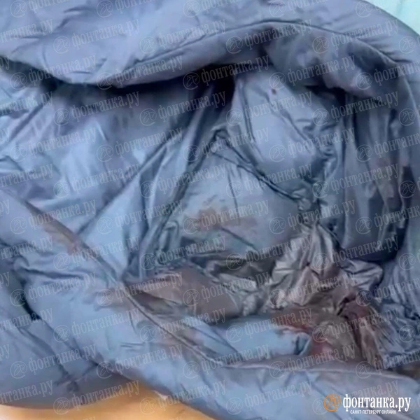 Источник: читательница «Фонтанки» Наталья