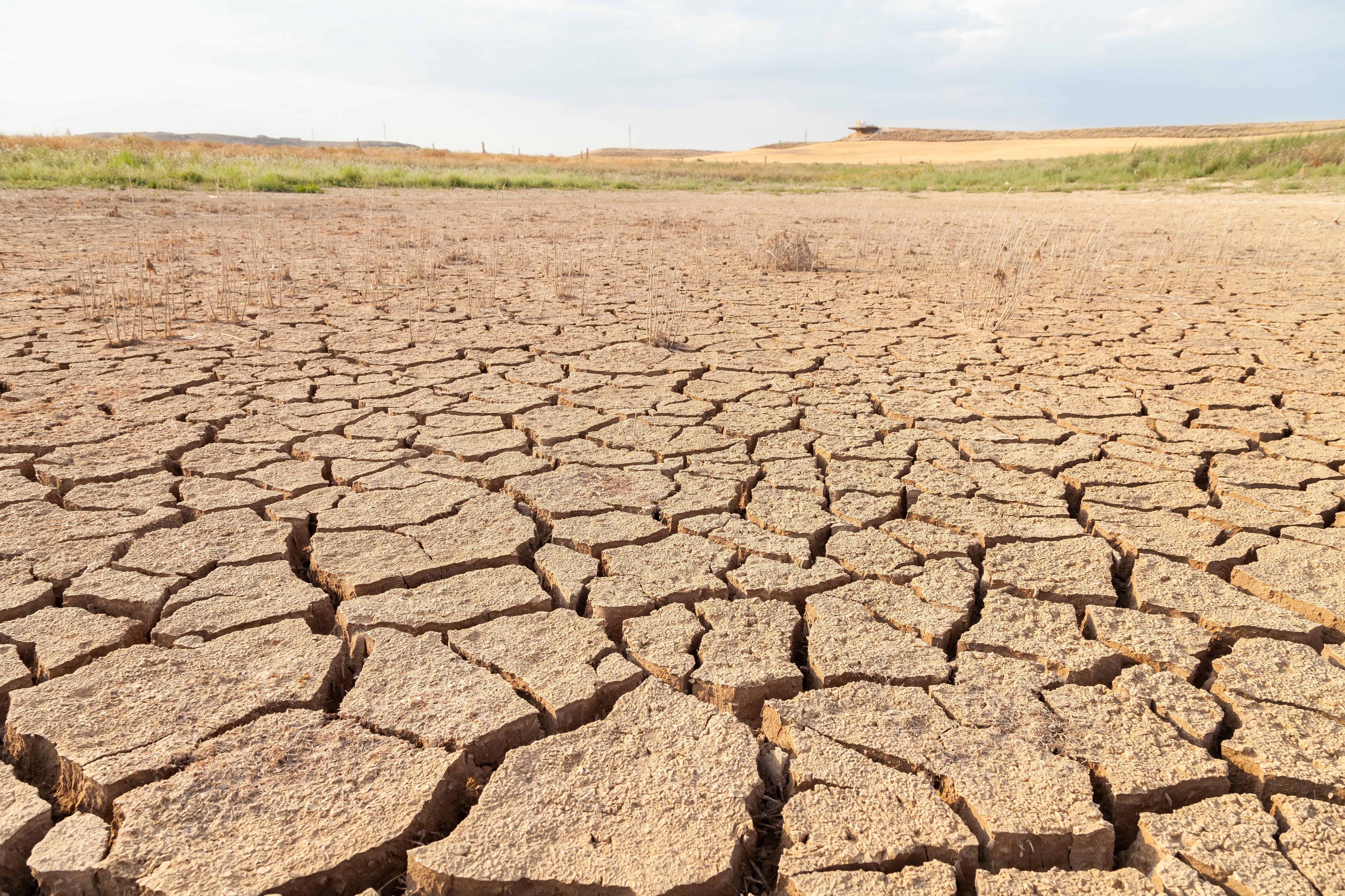 Засуха значение. Засуха в Америке 2021. Опустынивание. Опустынивание сельскохозяйственных земель. Опустынивание и засоление почвы.