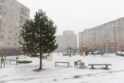 Погода в Ярославской области на выходные