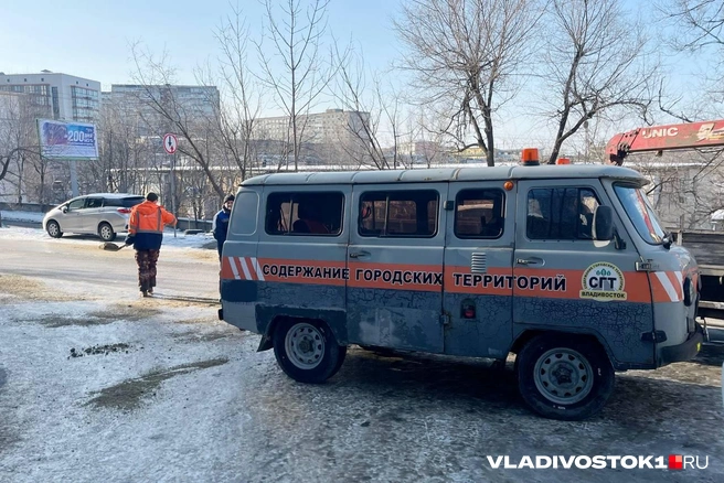 Источник: Елена Буйвол / VLADIVOSTOK1.RU