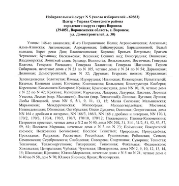 Источник: избирательная комиссия Воронежской области / Voronezh.izbirkom.ru