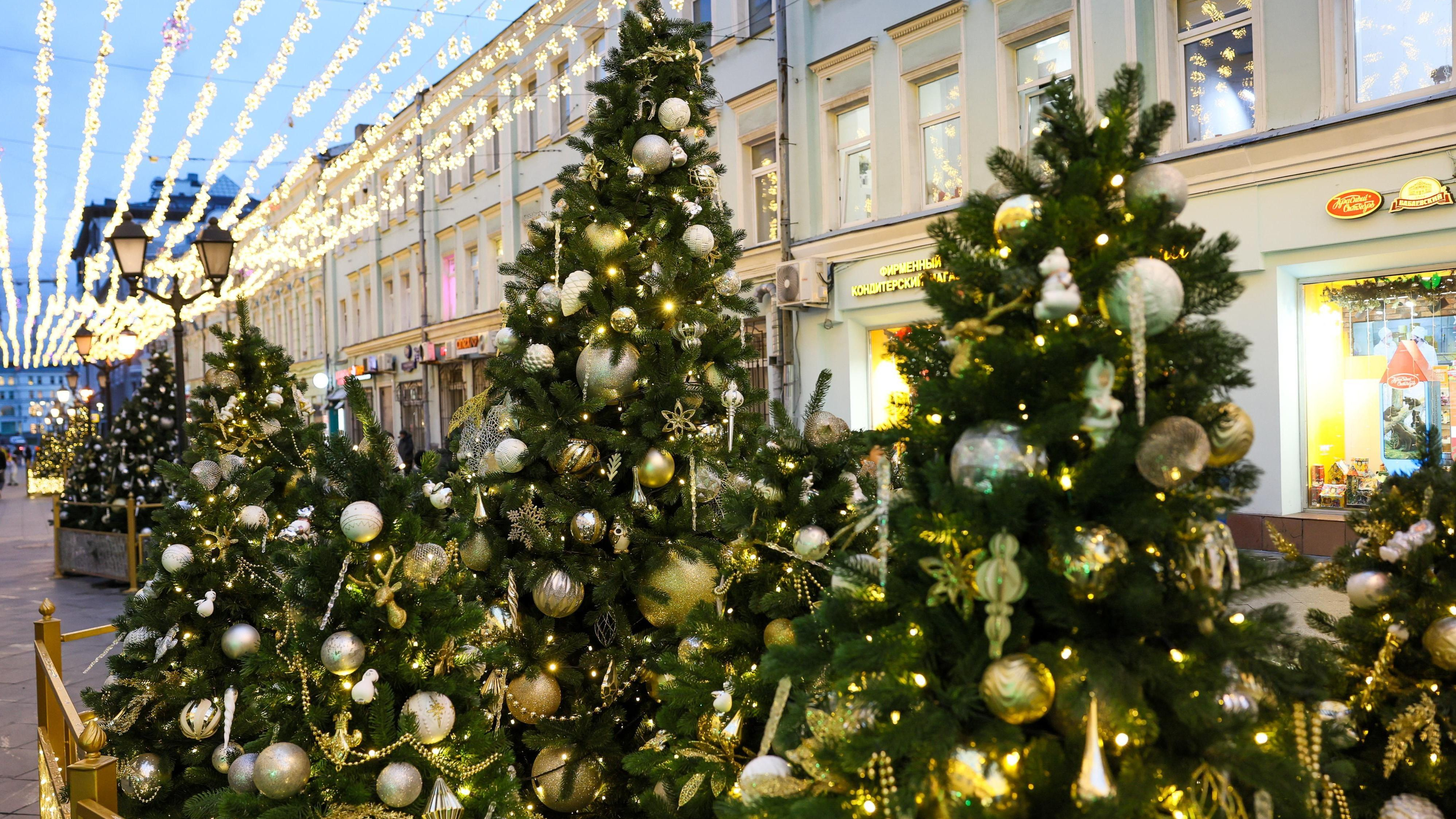 Стоит подумать дважды: как попытка сэкономить на новогодней елке обернется штрафом и сколько придется заплатить