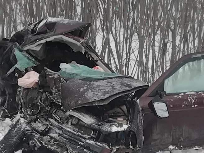 Пострадавших отвезли в больницу | Источник: прокуратура Новосибирской области