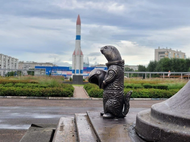 Суслика назвали Назар | Источник: Мэрия Красноярска / Telegram