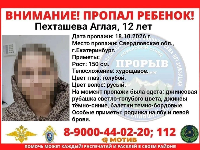 Аглая пропала 18 октября | Источник: поисковой отряд «Прорыв»