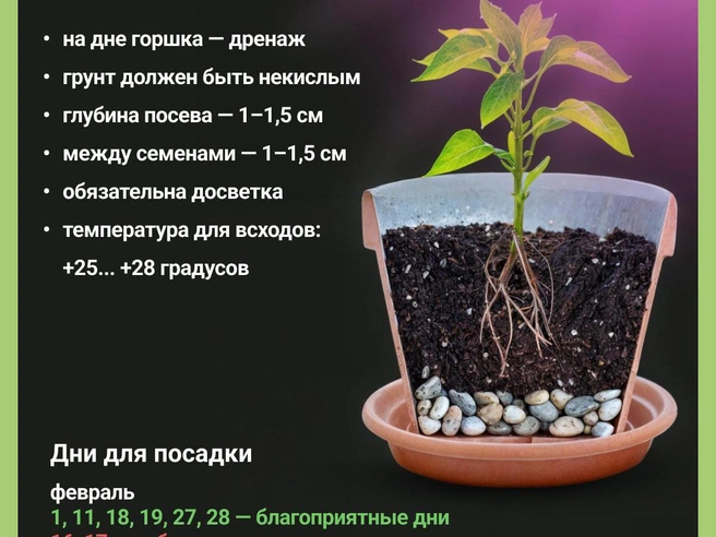 Источник: Юрий Орлов / Городские медиа