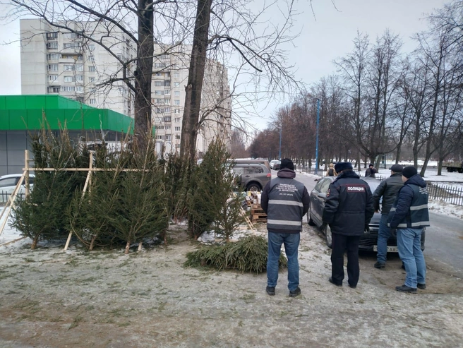 Источник: Пресс-служба администрации губернатора Петербурга