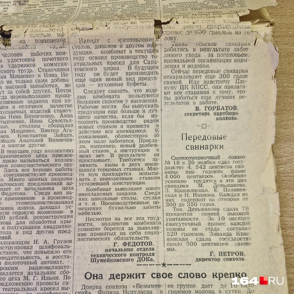 Источник: Виктория Федорова / 164.RU
