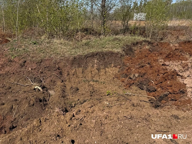 На этой опушке нашли 3 скелета | Источник: Назифа Нурмухаметова / UFA1.RU