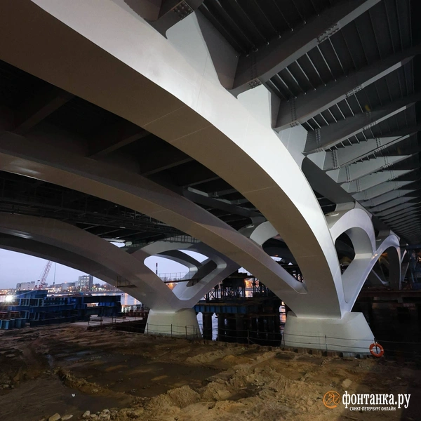 Источник: Валентин Егоршин / «Фонтанка.ру»