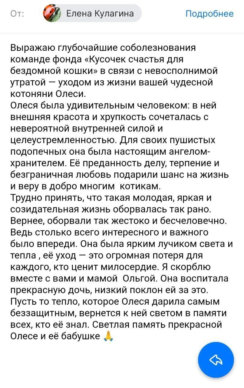 Одно из писем, которое направили волонтерам фонда, где работала Олеся | Источник: Кусочек счастья для бездомной кошки / T.me