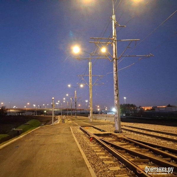 Источник: Анна Мотовилова / FONTANKA.RU