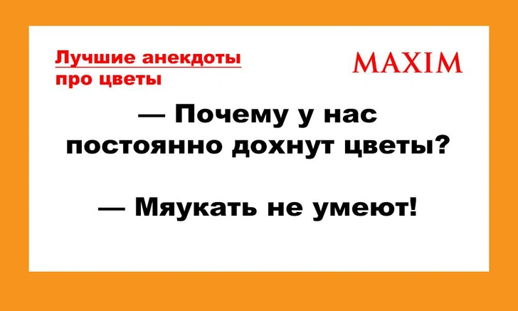 Лучшие анекдоты про цветы | maximonline.ru