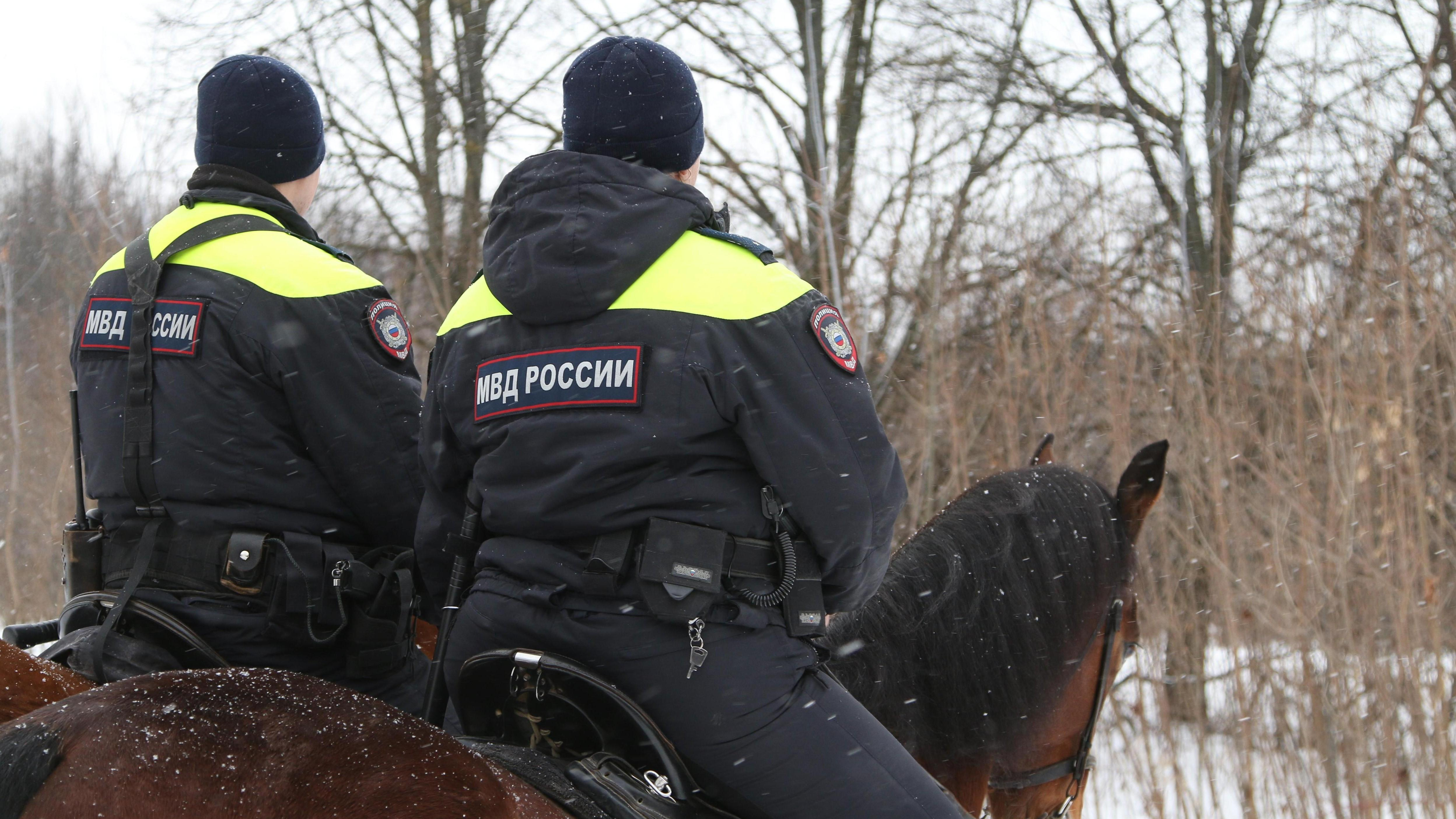 «Проезжая, спасли человеку жизнь». О чем рассказывают в конной полиции