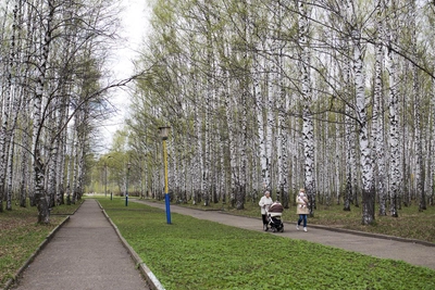 В Воронежской области ожидается потепление до +18 градусов