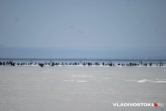 Источник: Елена Буйвол / VLADIVOSTOK1.RU