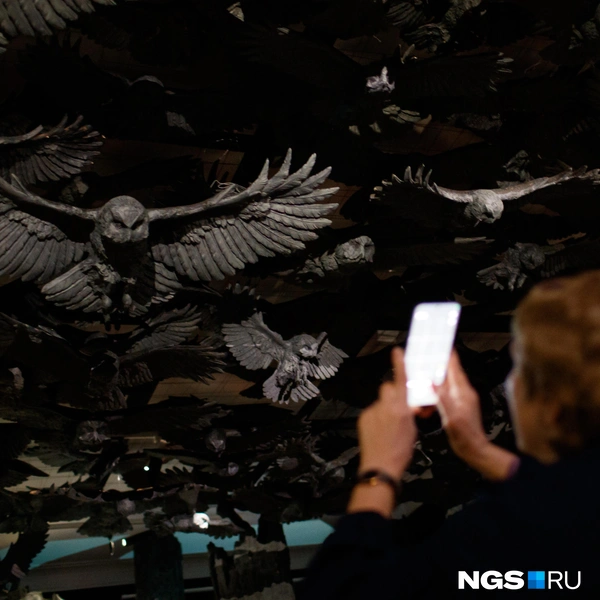 Большая часть выставки посвящена лесу  | Источник: Андрей Бортко / NGS.RU