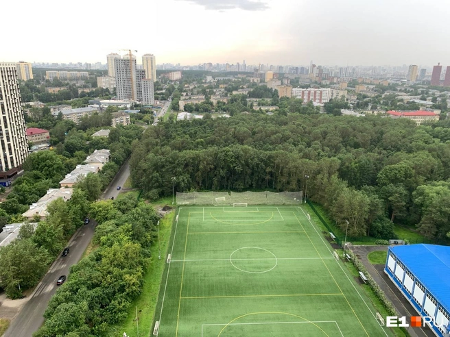 Вторчермет хвалят за обилие зелени | Источник: читатель E1.RU