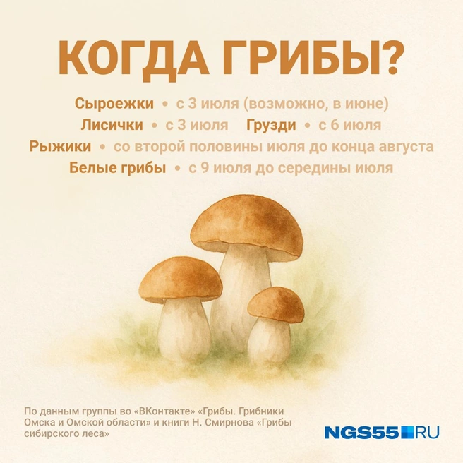 Прогноз — в удобной инфографике | Источник: Юрий Скулыбердин / Городские медиа