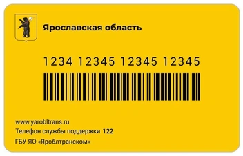 Вид с обратной стороны | Источник: Михаил Евраев / Telegram