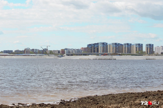 Вид, открывающийся с будущего пляжа | Источник: Павел Красоткин / 72.RU