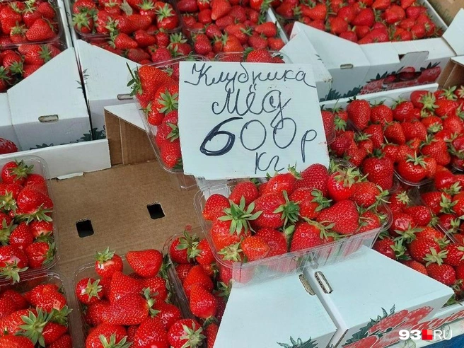 На фото — белореченская клубника | Источник: Екатерина Железнова / 93.RU