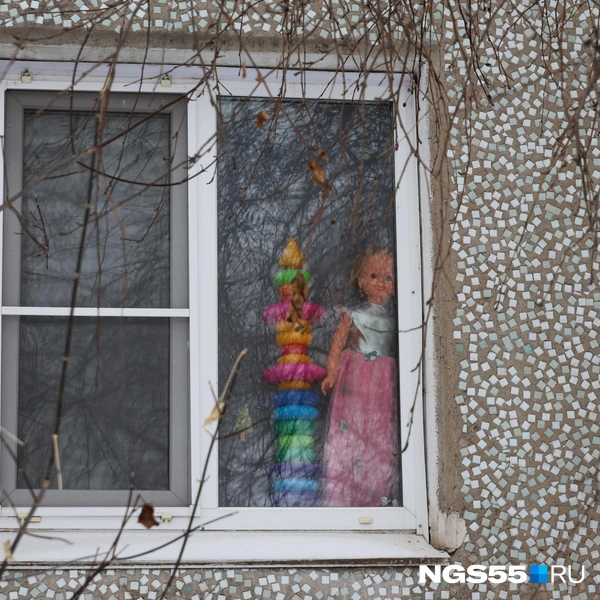 Они следят за тобой  | Источник: Евгений Софийчук / NGS55.RU 