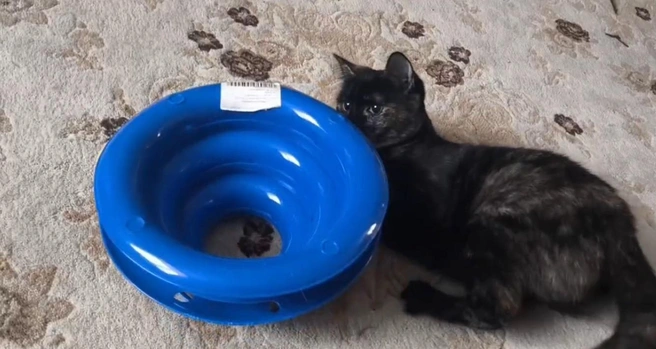 Тьмушка с любимой игрушкой | Источник: Алексей