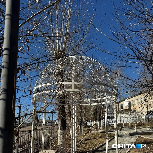 Источник: Анастасия Журавлева / CHITA.RU