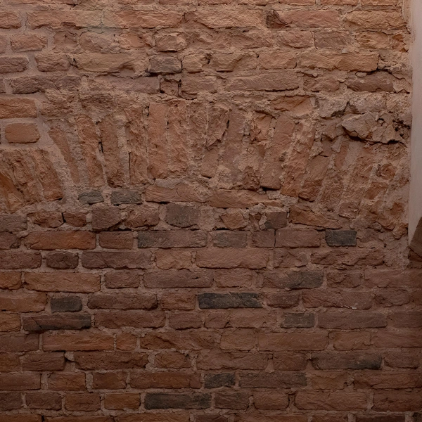 Источник: Сергей Николаев / «Фонтанка.ру»