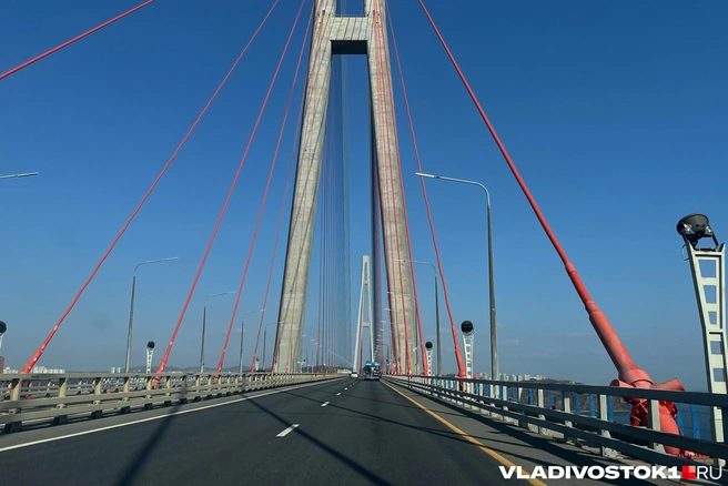 Узнали, где не проехать | Источник: Елена Буйвол / VLADIVOSTOK1.RU
