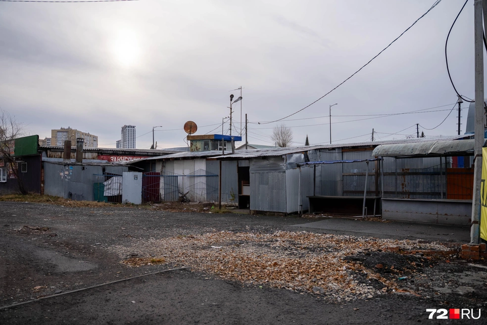 У дороги — пустые прилавки | Источник: Илья Чикотин / 72.RU