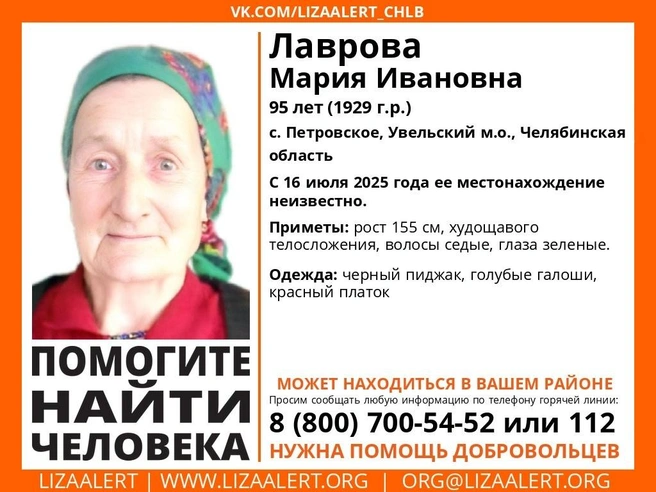 Источник: Поисковый отряд «ЛизаАлерт» Челябинской области / vk.com