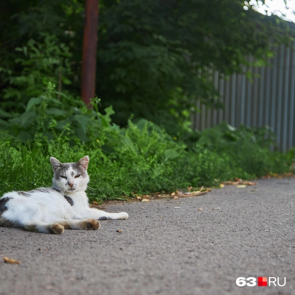 Источник: Роман Данилкин