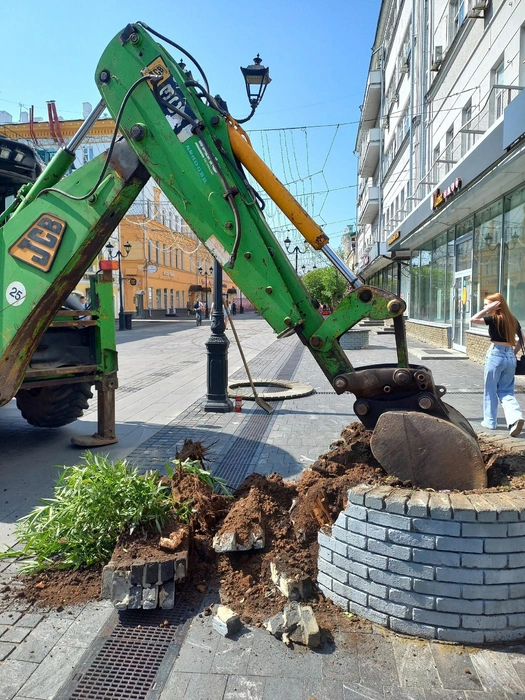 В этот раз на Покровке высадят крупномерные деревья с приствольной защитой | Источник: Светлана Шартанова
