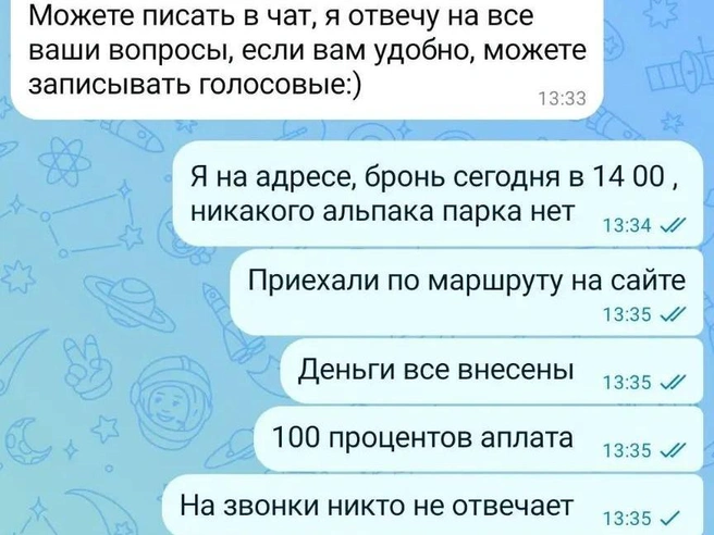 После того как обман раскрылся, мошенники перестали читать сообщения | Источник: читатель E1.RU